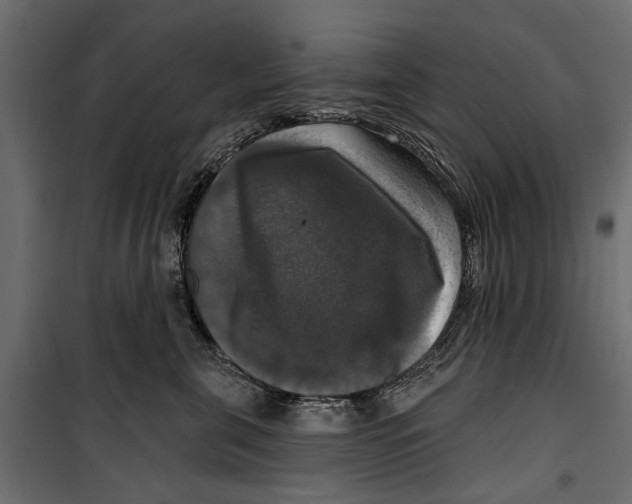 X0000099950571200806201316