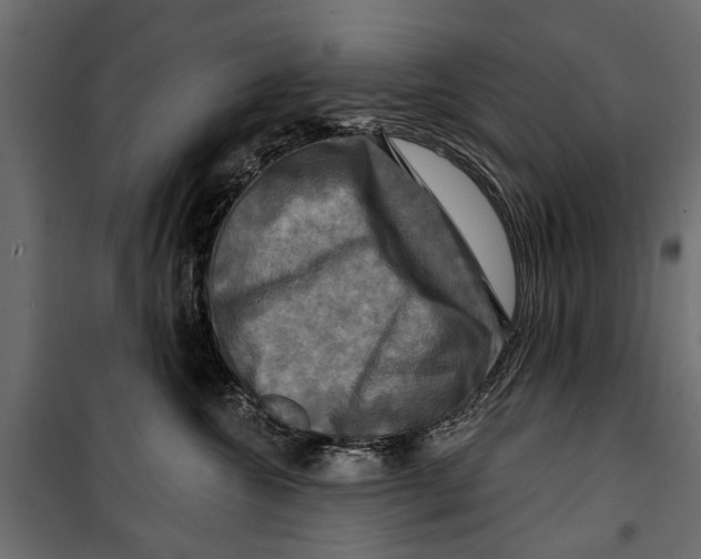 X0000099950572200806201316