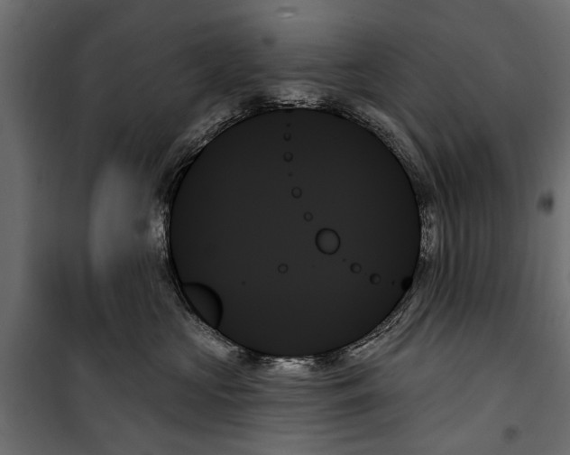 X0000099950573200806201316