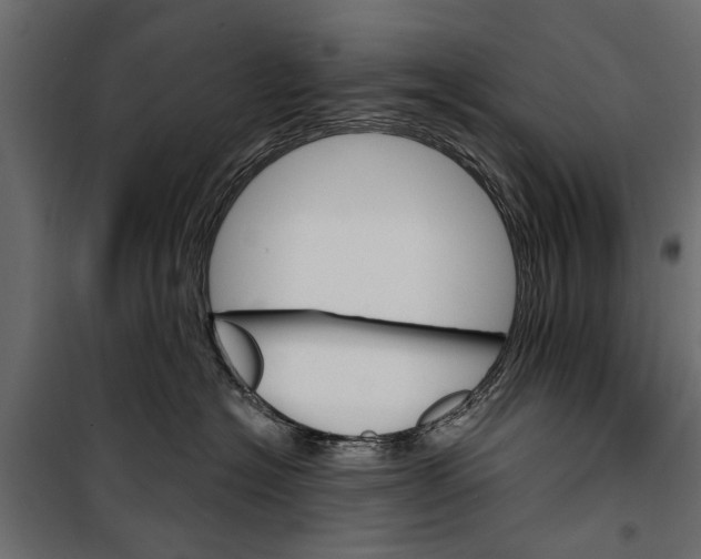 X0000099950574200806201316