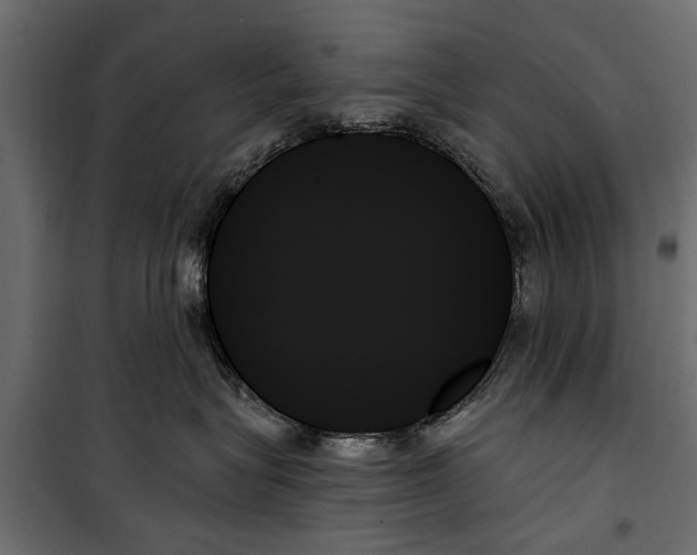 X0000099950575200806201316