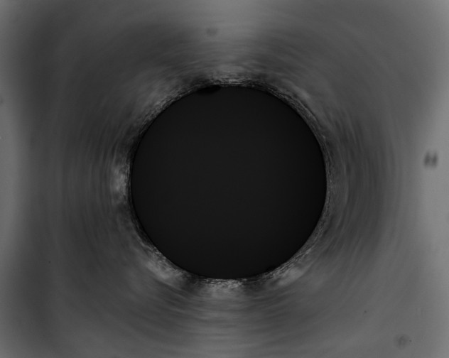 X0000099950576200806201316