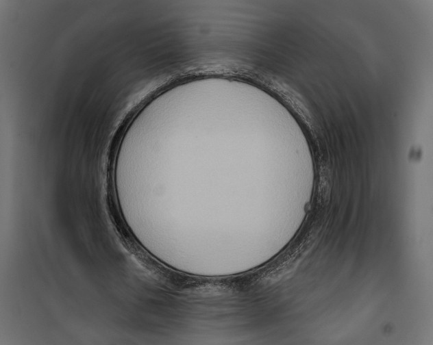 X0000099950578200806201315