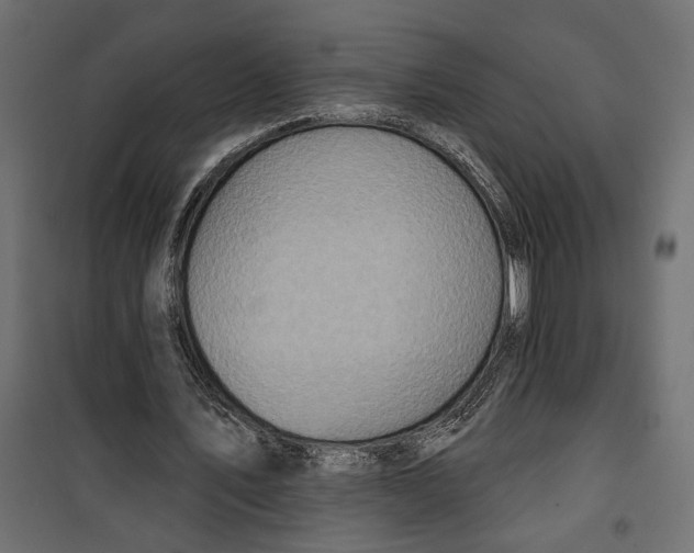 X0000099950579200806201315