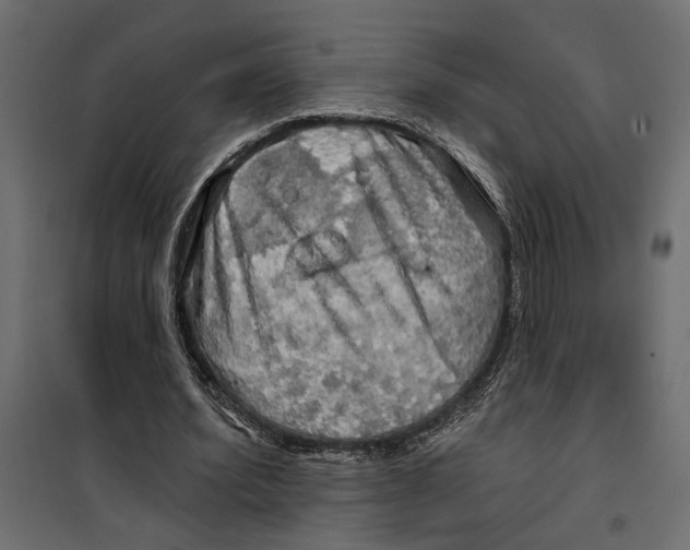 X0000099950580200806201315