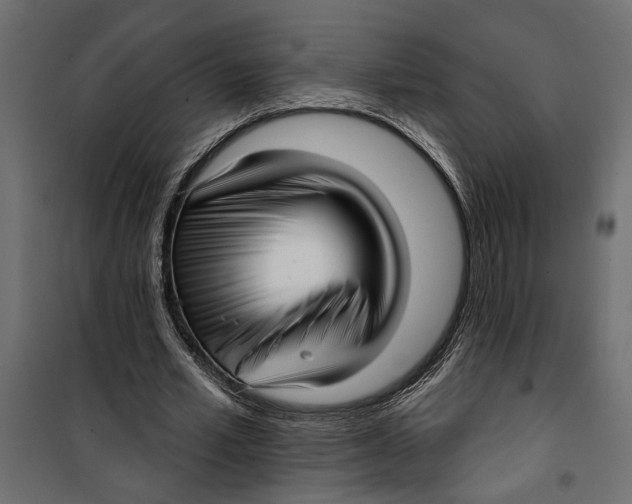 X0000099950581200806201315