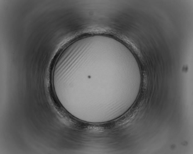 X0000099950582200806201315