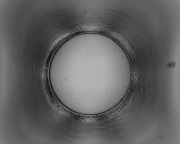 X0000099950583200806201315