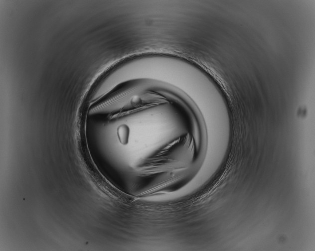 X0000099950584200806201315
