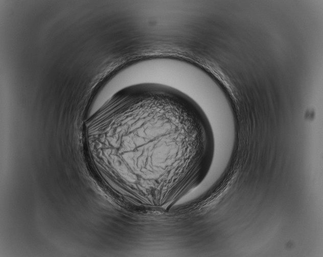 X0000099950585200806201315