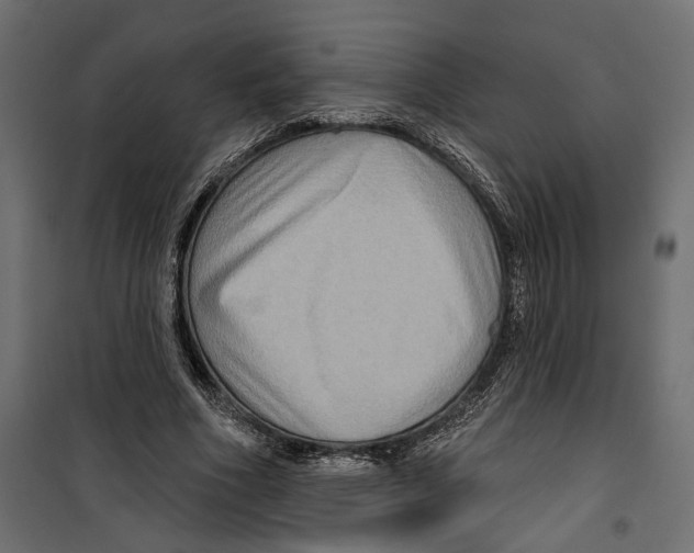 X0000099950586200806201315