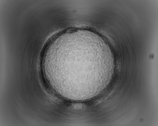 X0000099950587200806201315