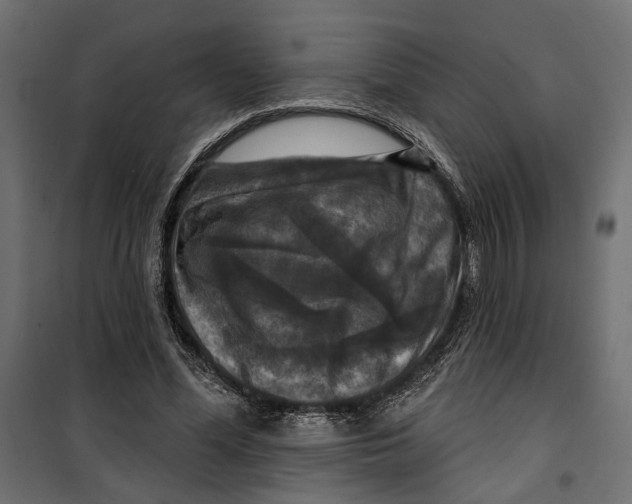 X0000099950588200806201315