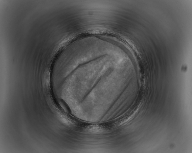X0000099950589200806201315
