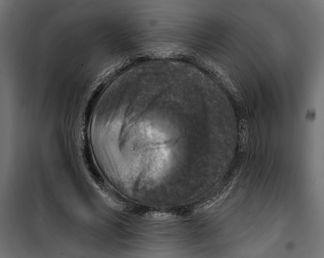 X0000099950590200806201315