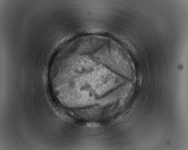 X0000099950591200806201315
