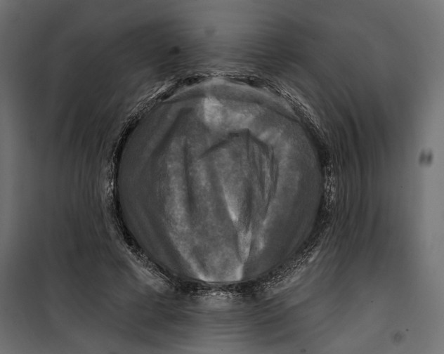 X0000099950593200806201315