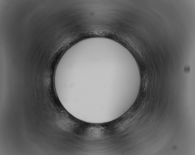 X0000099950595200806201315