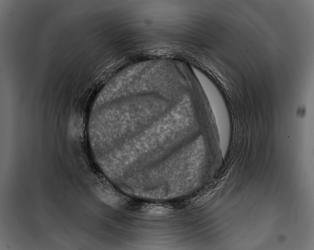 X0000099950597200806201315
