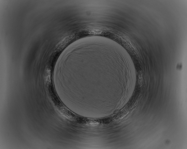 X0000099950598200806201315