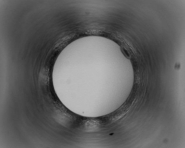X0000099950599200806201315