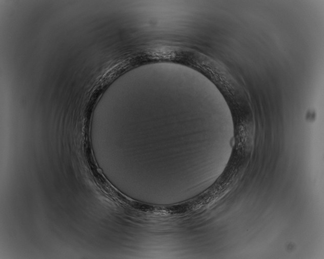 X0000099950600200806201315
