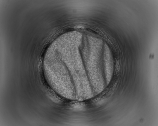 X0000099950601200806201315