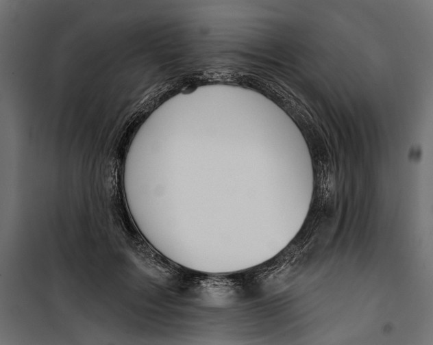 X0000099950603200806201315