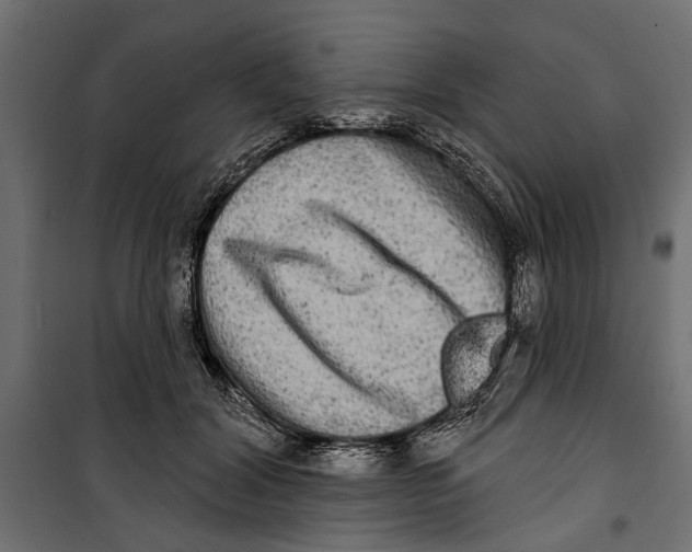 X0000099950604200806201315