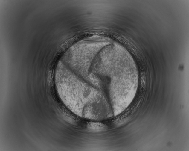 X0000099950605200806201315