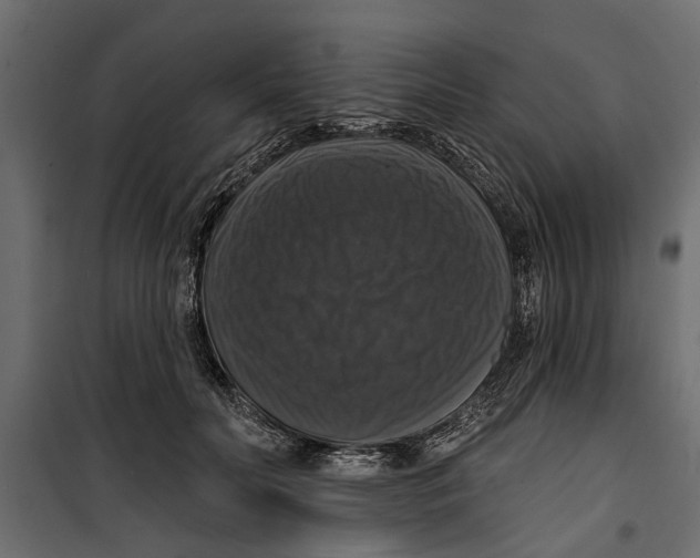 X0000099950606200806201314