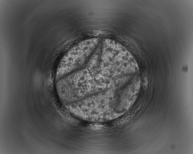 X0000099950607200806201314