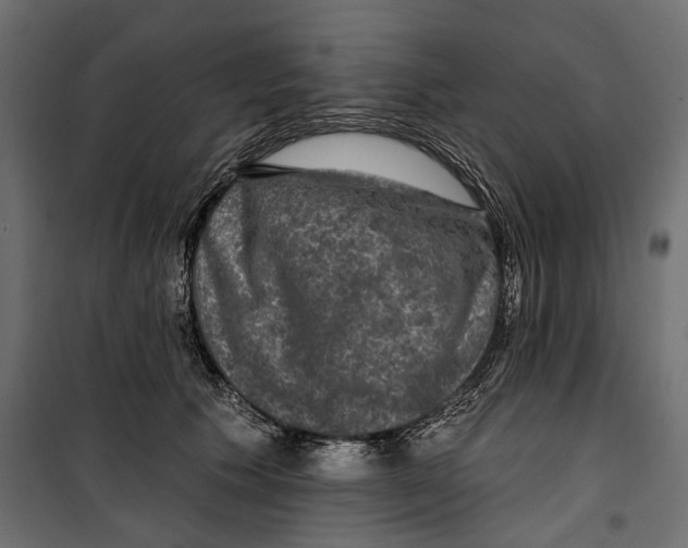 X0000099950609200806201314