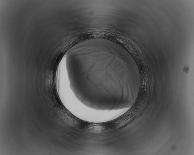 X0000099950610200806201314