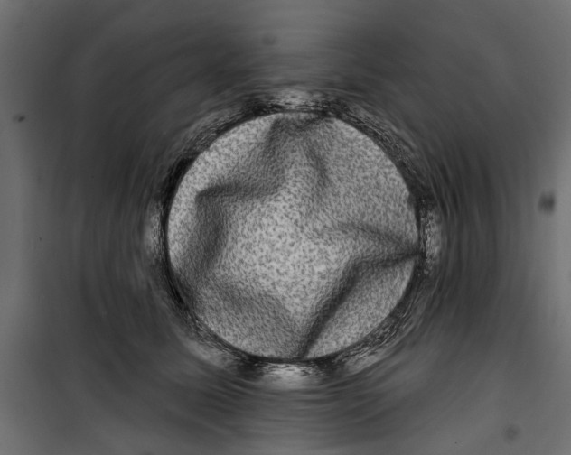X0000099950611200806201314