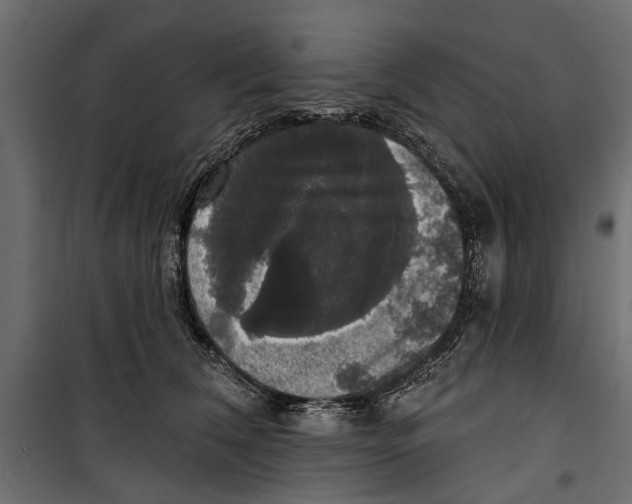 X0000099950612200806201314
