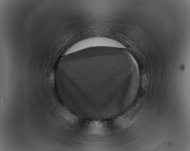 X0000099950613200806201314