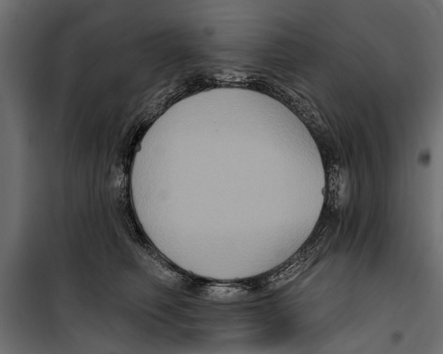 X0000099950614200806201314