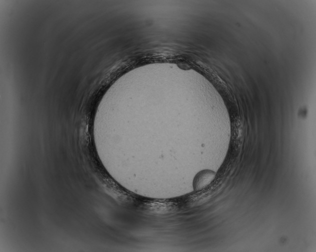 X0000099950615200806201314