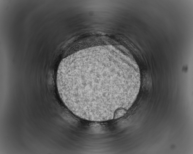 X0000099950616200806201314