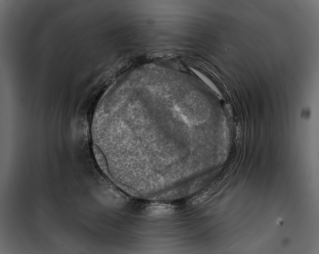 X0000099950617200806201314