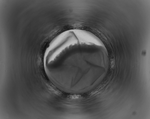 X0000099950618200806201314