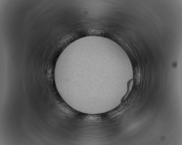 X0000099950619200806201314