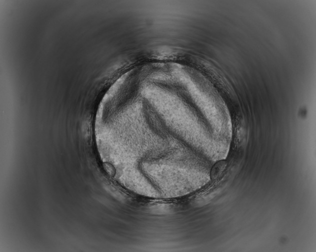 X0000099950620200806201314