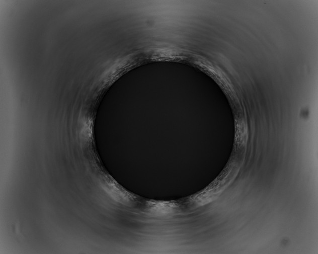 X0000099950621200806201314