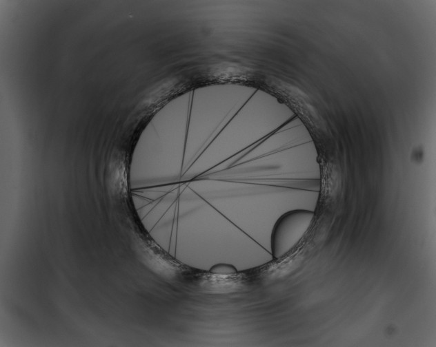 X0000099950622200806201314