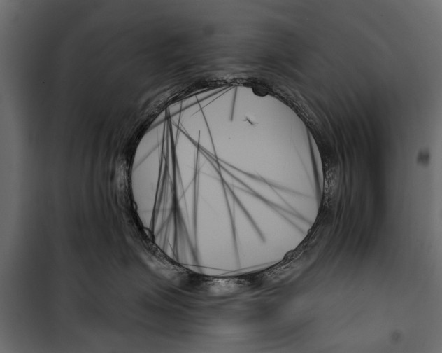 X0000099950623200806201314
