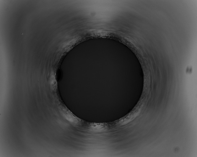 X0000099950624200806201314