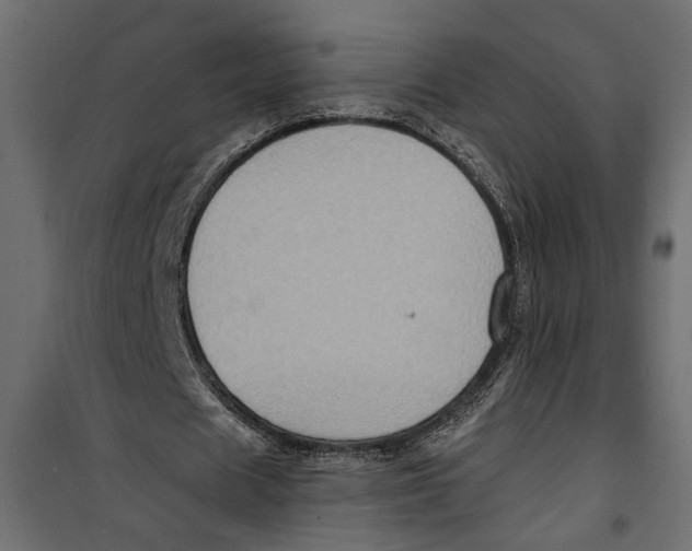 X0000099950625200806201313