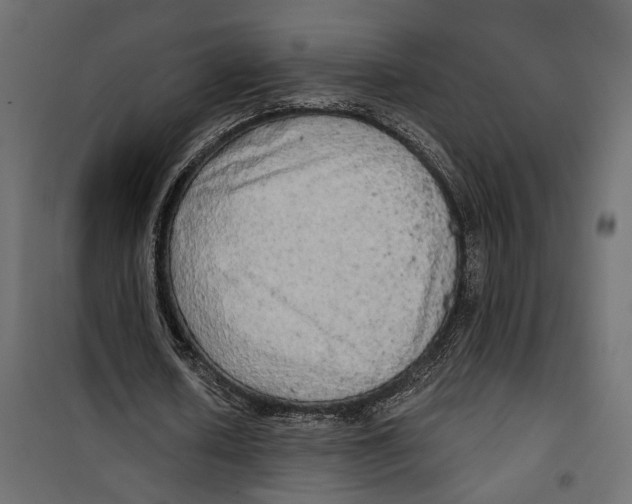 X0000099950626200806201313